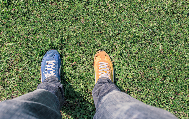 Magento 2 and Shopify: Differences & Similarities