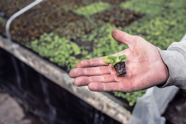 How To Grow An Audience That Converts