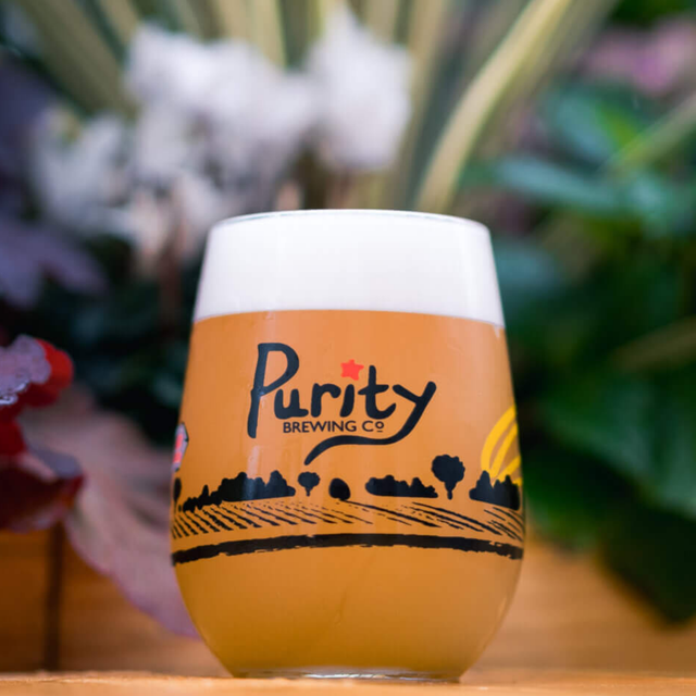 Purity Brewing